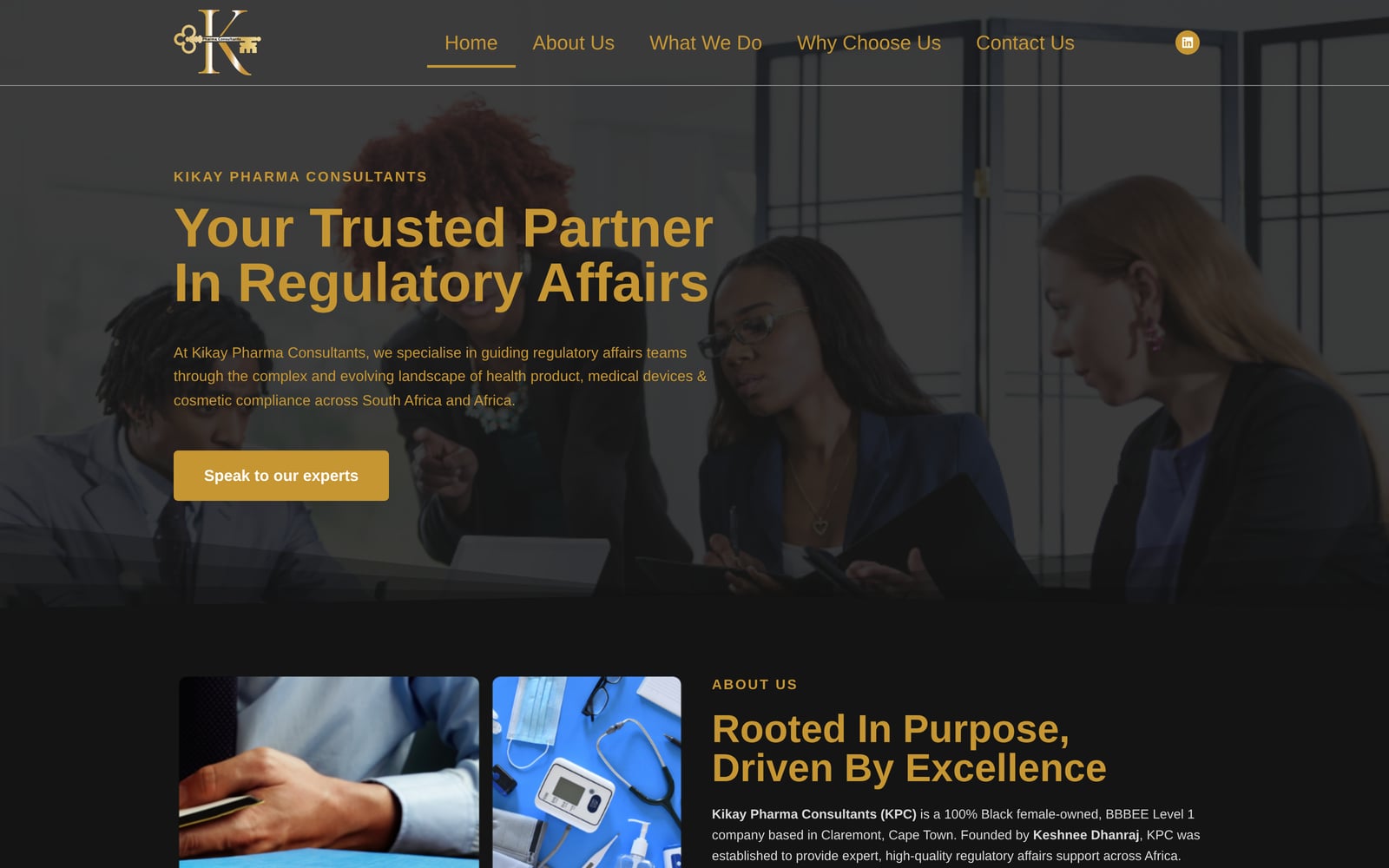 Kikay Pharma regulatory-affairs landing section above the company introduction