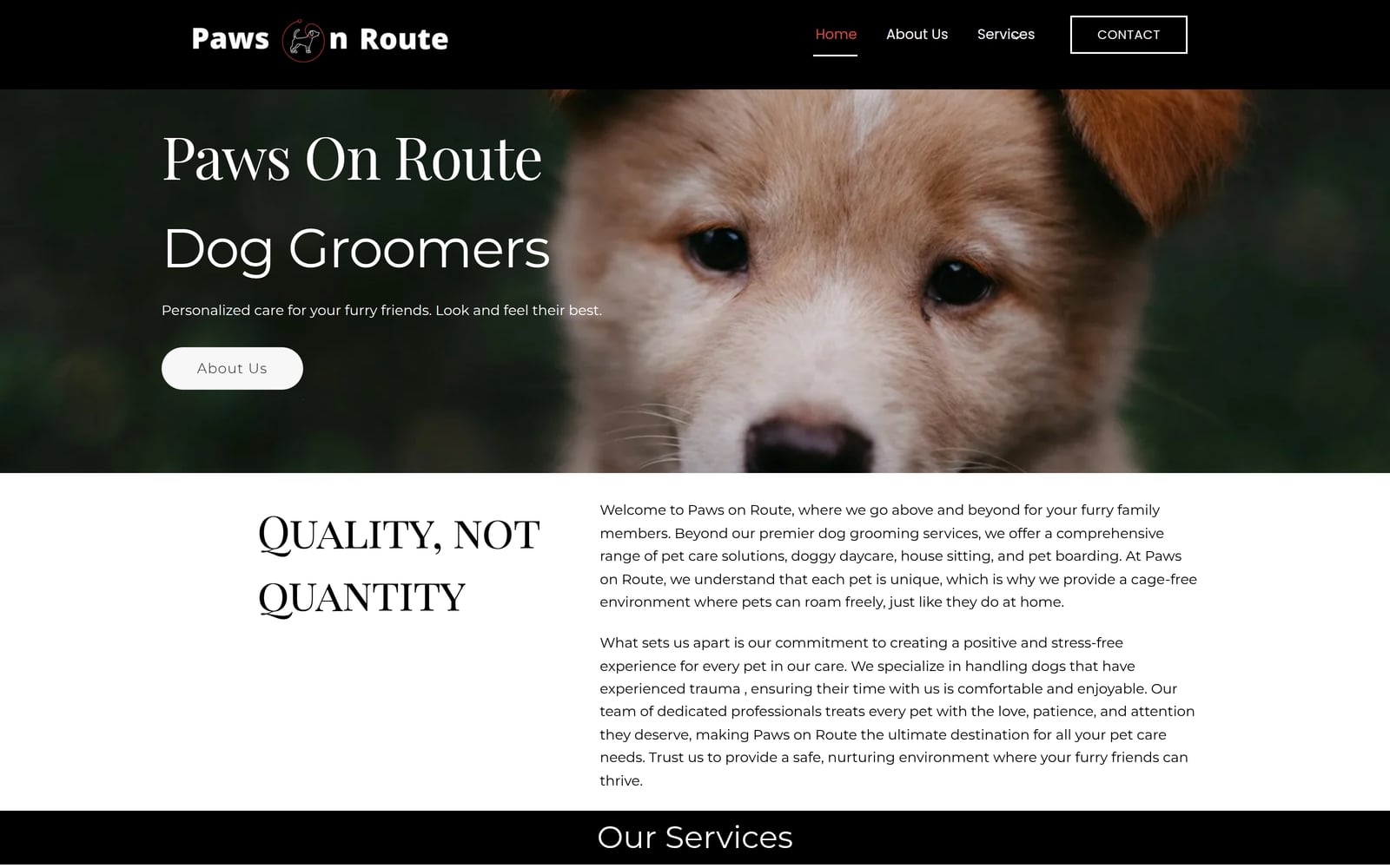 Paws On Route homepage with dog-grooming introduction, puppy photograph and pet-care information